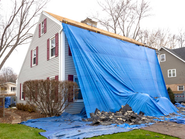 Best Fiber Cement Siding Installation  in Hayneville, AL