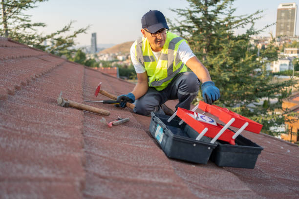 Professional Siding Installation & Repair in Hayneville, AL